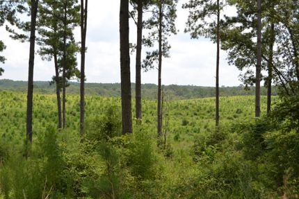Property in Houston County, Texas
