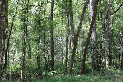 Property for sale in Dorchester County, South Carolina