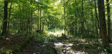 Property in Cortland County, New York