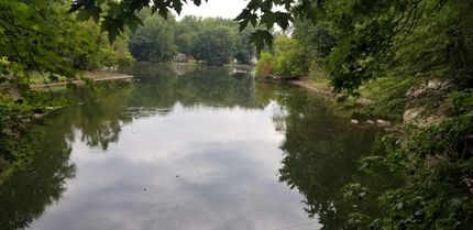 Property in Cayuga County, New York