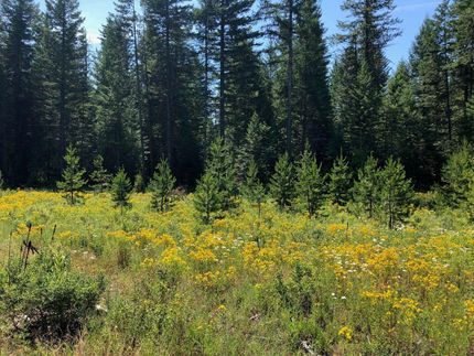 Property in Kootenai County, Idaho