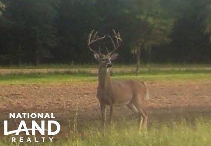 Property in Lowndes County, Alabama