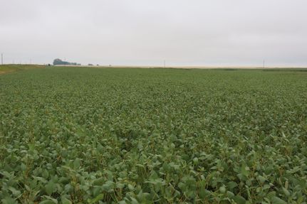 Property in Renville County, North Dakota