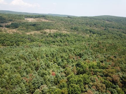 Property in Garrett County, Maryland