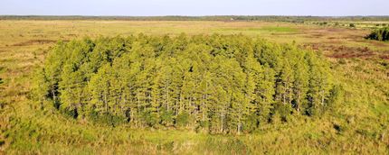 Property in Osceola County, Florida