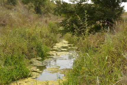 Property in Collingsworth County, Texas