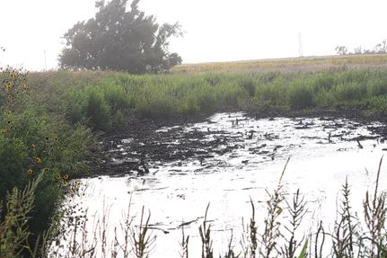 Property in Hale County, Texas