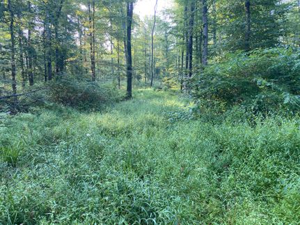 Property in Mercer County, Pennsylvania