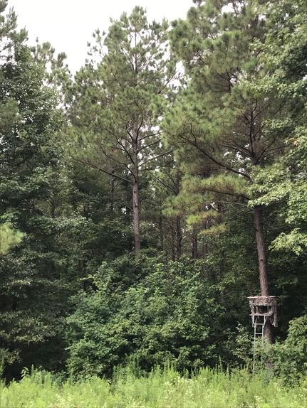 Property in Cass County, Texas