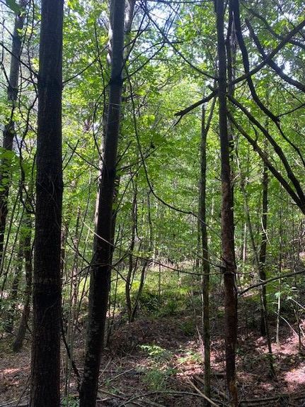 Property in Polk County, Tennessee