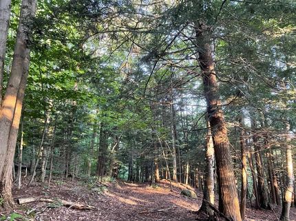 Property in Berkshire County, Massachusetts