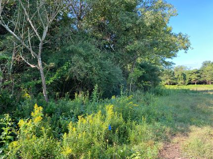 Property in Fayette County, Pennsylvania