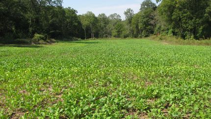 Property in Putnam County, Missouri