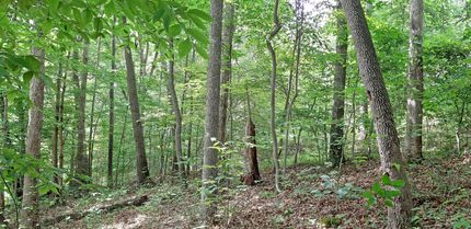 Property in Barbour County, West Virginia