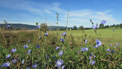 Property in Schoharie County, New York