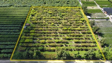 Property in Miami-Dade County, Florida