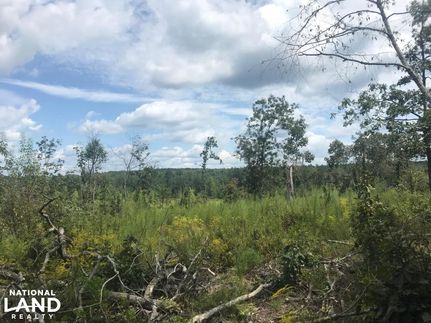 Property in Marion County, Alabama