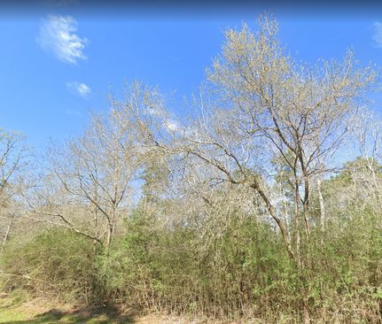 Property in Harris County, Texas