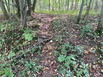 Property in Westmoreland County, Pennsylvania