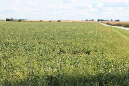 Property in White County, Indiana