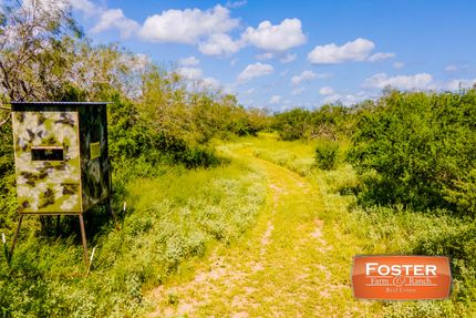 Property in Willacy County, Texas