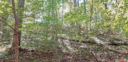 Property in Wood County, West Virginia