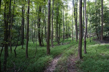 Property in York County, South Carolina