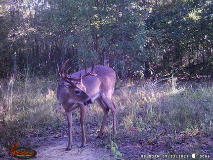 Property in Bowie County, Texas