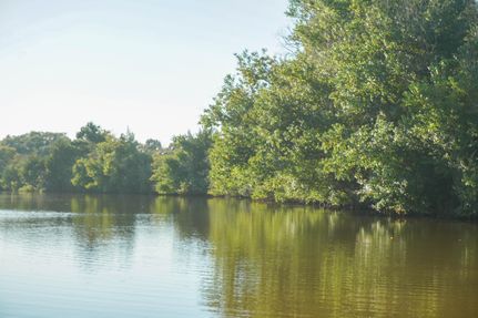 Property in Shelby County, Texas