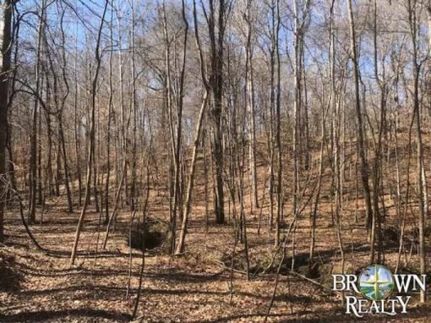 Property in Warren County, Mississippi