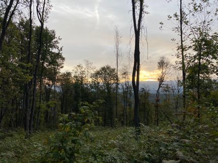 Property in Fayette County, Pennsylvania