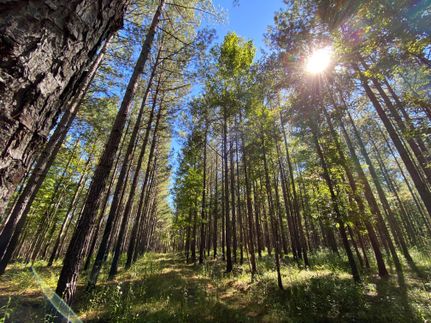 Property in Tallapoosa County, Alabama