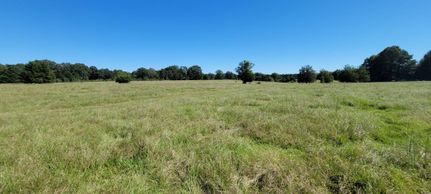 Property in Macon County, Alabama