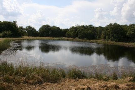 Property in Palo Pinto County, Texas