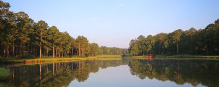 Property in Lee County, Alabama