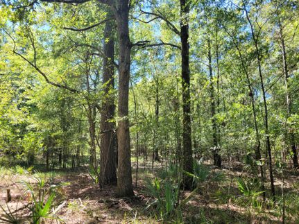 Property in Bradley County, Arkansas