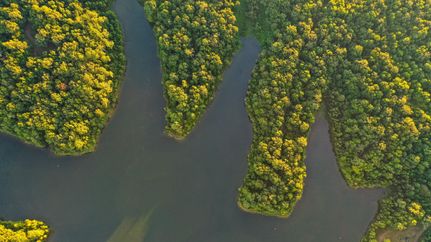 Property in DeSoto County, Mississippi