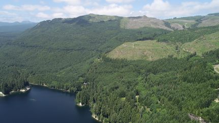 Property in Skamania County, Washington