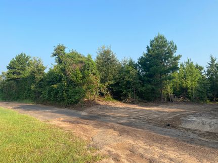 Property in Cass County, Texas