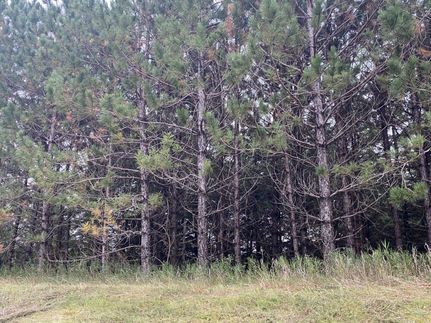 Property in Saint Louis County, Minnesota