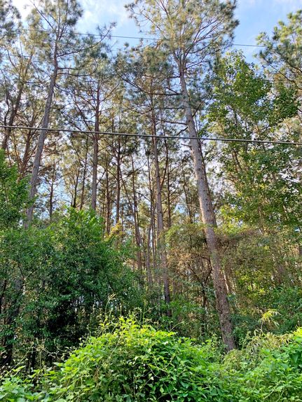 Property in DeSoto Parish, Louisiana