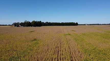 Property in Clinton County, Indiana