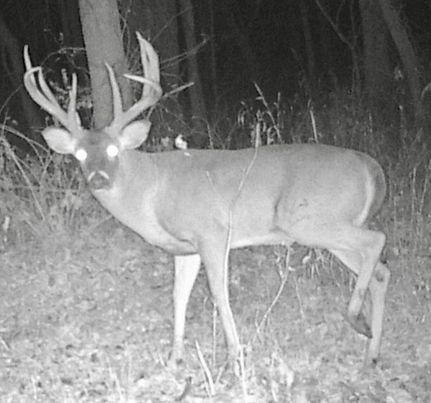 Property in Marion County, Illinois