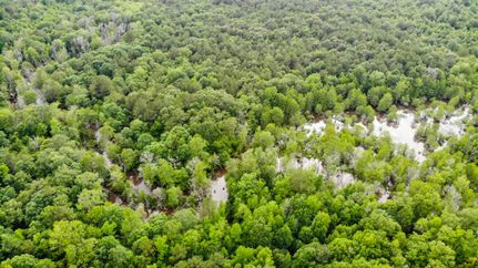 Property in Cass County, Texas