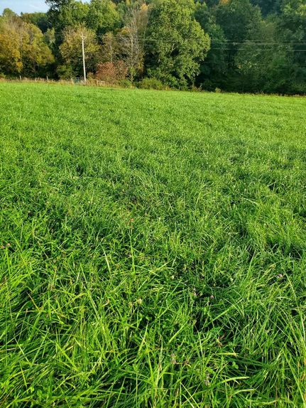 Property in Guernsey County, Ohio