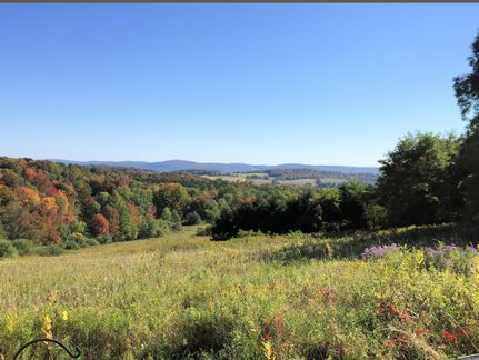 Property in Chenango County, New York