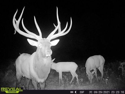 Property in Tioga County, Pennsylvania