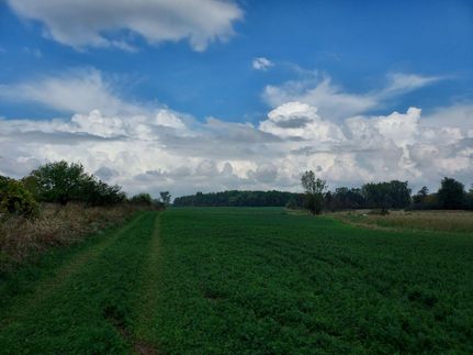 Property in Lapeer County, Michigan