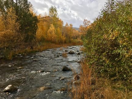 Property for sale in Rio Arriba County, New Mexico