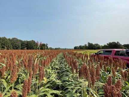 Property in Madison County, Tennessee